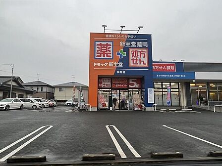 ドラッグ新生堂 国府店 610m