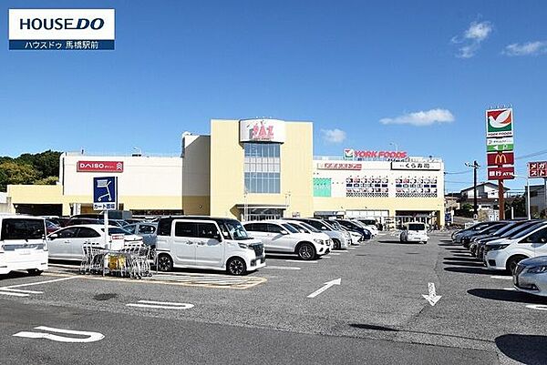 PAZ新柏1階はヨークマート、2階にダイソー、メガネスーパー、くら寿司、本屋、サイゼリヤ、ゲームセンターが入っています。 600m