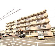 メゾン徳２ 4階 築34年7ヶ月の賃貸物件