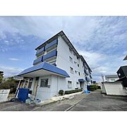 ハイツ松野 3階 築42年の賃貸物件