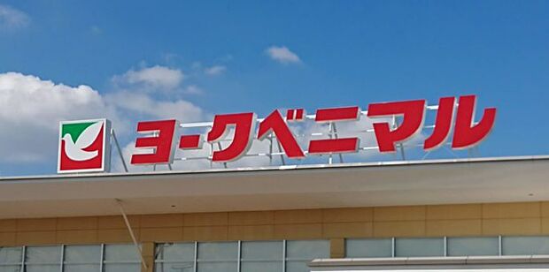 【スーパー】ヨークベニマル千代田モール店まで643ｍ