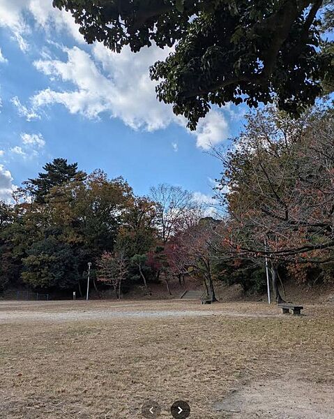 香里ケ丘南公園（1403m）