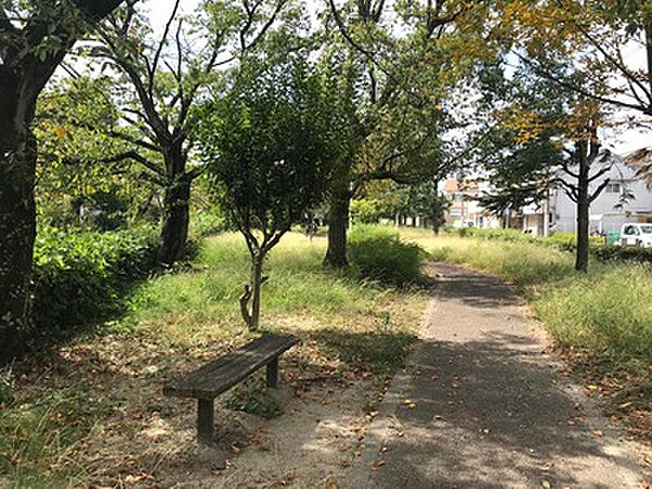 妙見川緑地（698m）