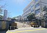 周辺：中郡小学校（917m）