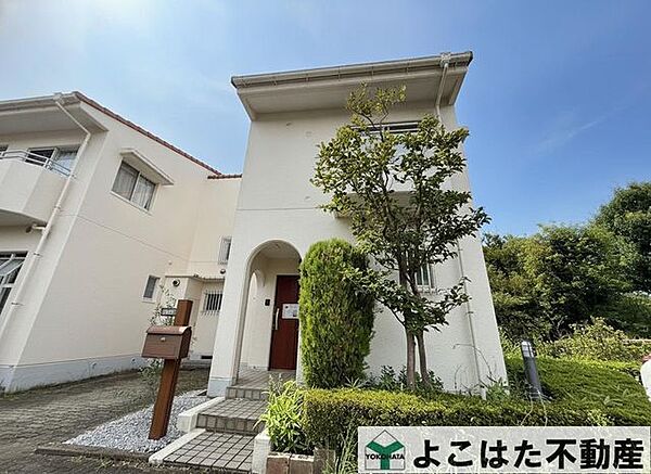 外観：313004870368