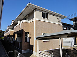 サウス　メディオ