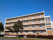 エヴァーグリーンフジ 3階 築13年8ヶ月の賃貸物件