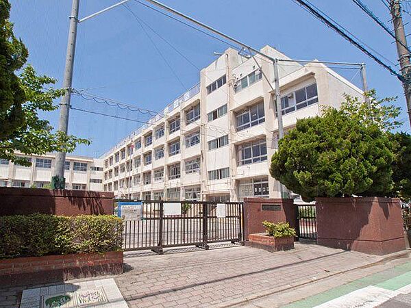 新宿小学校新宿小学校 800m