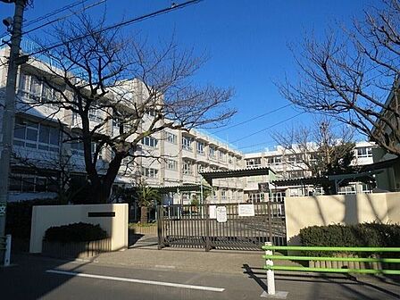 柴原小学校 300m