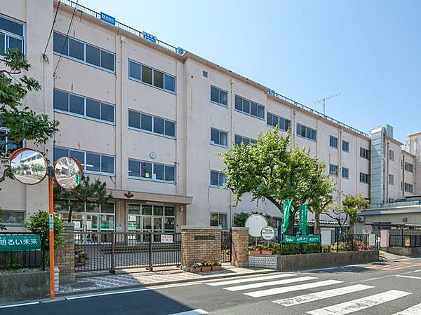 常盤中学校 常磐中学校 490m