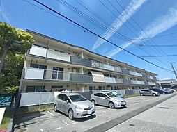 JR北陸本線 長浜駅 徒歩13分