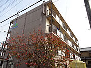 ニシムラエコノム野洲 4階 築38年3ヶ月の賃貸物件