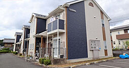 グレースコンフォート