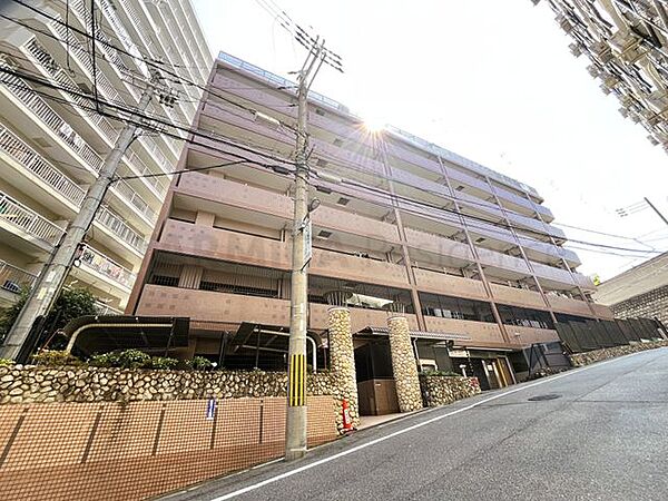 総戸数43戸