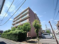 ケイティーズ　クリア