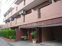 ビタフェリーチェ