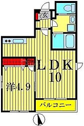 ビューシュロスM 1LDKの間取図画像