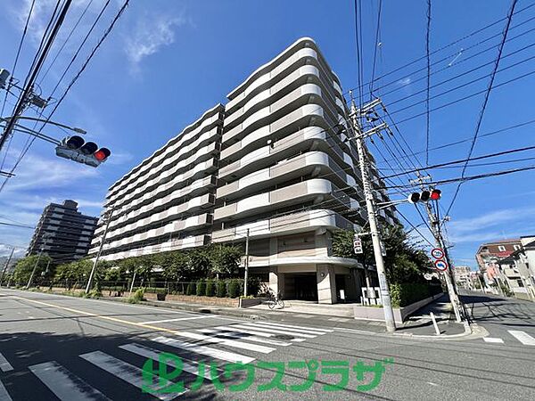 外観：312001323599