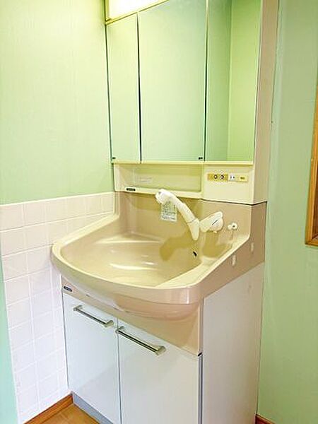 洗面道具やストックがスッキリ収まる。生活感を見せない大容量収納。