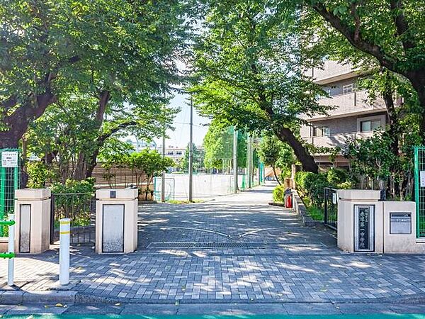 板橋区立赤塚第一中学校 徒歩3分 240m