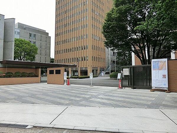 幼稚園型認定こども園東京家政大学附属みどりケ丘幼稚園 徒歩7分 560m