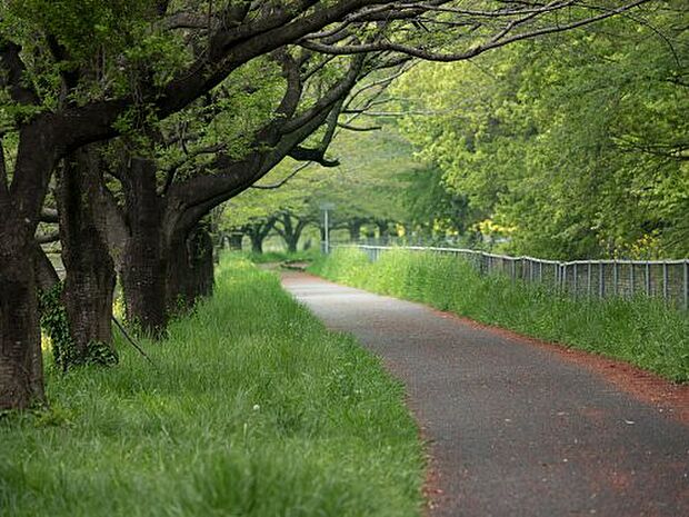 【公園】見沼桜橋緑地まで775ｍ