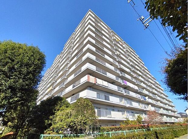 「コスモ志木」13階建て中古マンション、東武東上線「志木」駅より徒歩9分の好立地