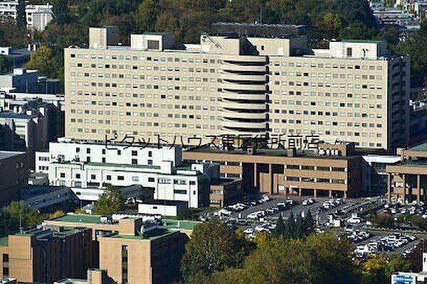 画像18:国立大学法人北海道大学病院 369m