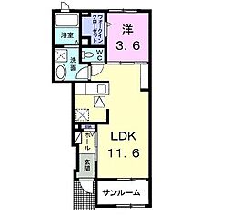 セルバ・セレッソ 1階/-