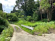 千葉県南房総市合戸1006他3筆：物件画像