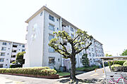 UR都市機構江南団地48棟 4階 築56年の賃貸物件