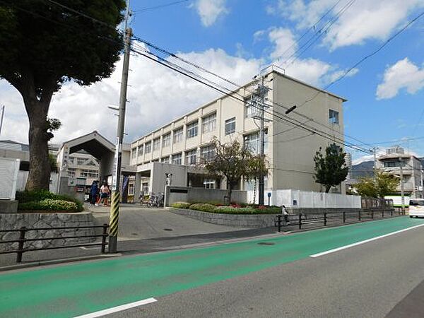 画像29:【小学校】神戸市立魚崎小学校まで269ｍ