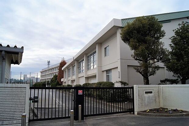 平塚市立金旭中学校平塚市立金旭中学校 1900m