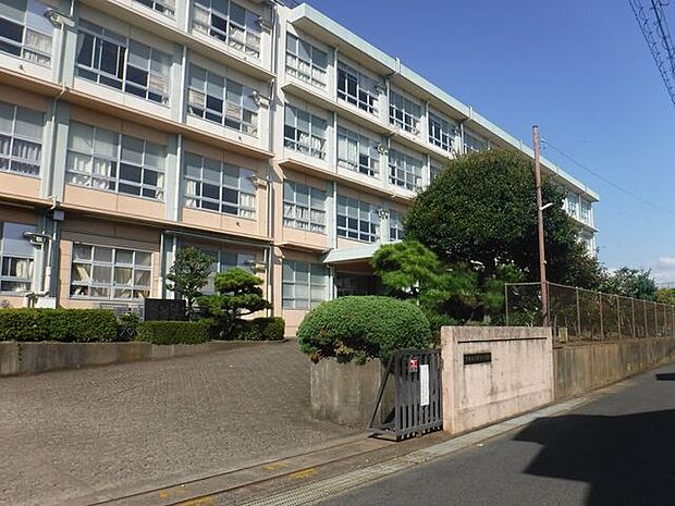 平塚市立松延小学校平塚市立松延小学校 597m
