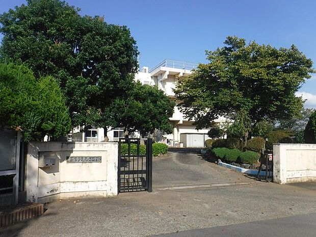 平塚市立南原小学校平塚市立南原小学校 300m
