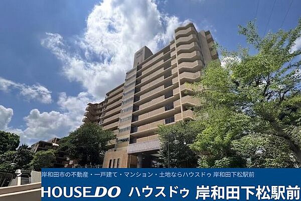 外観：327002991216