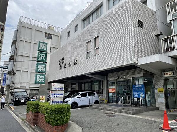 画像24:【総合病院】駒沢病院まで741ｍ
