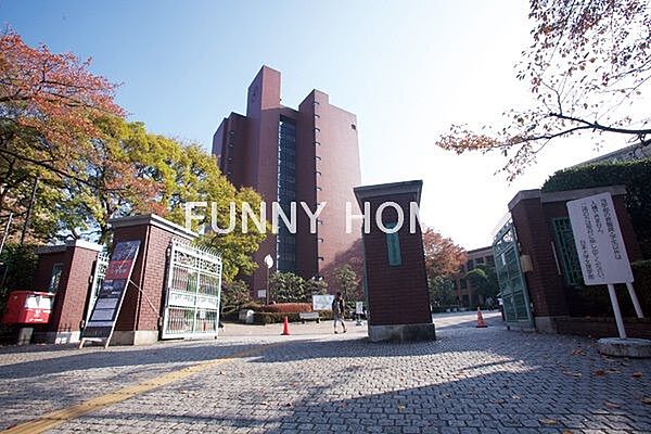 画像16:【大学】私立日本大学文理学部まで815ｍ