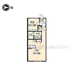 ODIN 1LDKの間取図画像