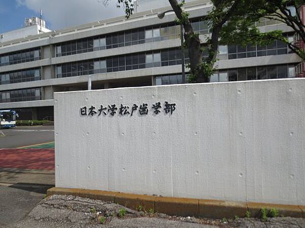 画像17:【大学】私立日本大学松戸歯学部まで1774ｍ