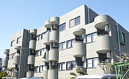 西武豊島線 豊島園駅 徒歩9分の賃貸マンション