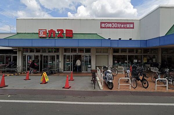 画像28:【スーパー】KASUMI(カスミ) 湖北店まで326ｍ