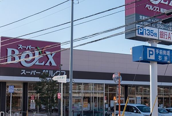画像30:【スーパー】BeLX(ベルクス) 松戸六高台店まで2444ｍ