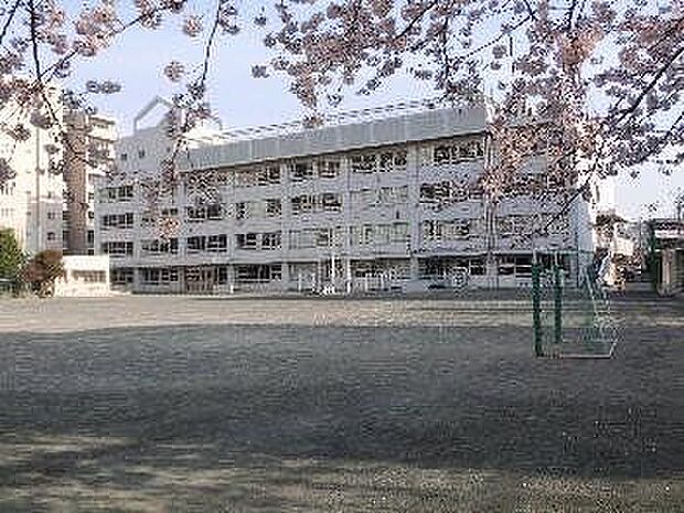 狛江市立狛江第一小学校狛江市立狛江第一小学校 340m