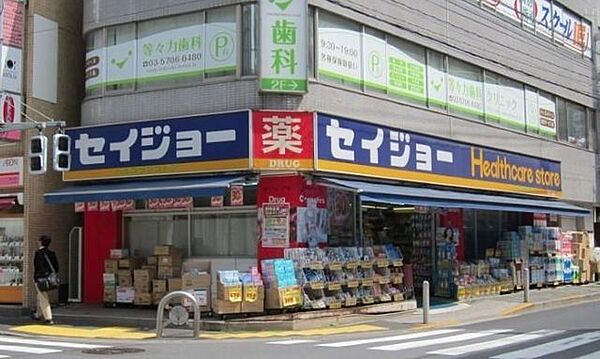 くすりのセイジョー等々力店 600m