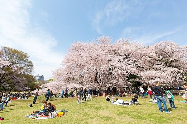 東京都立砧公園 1130m
