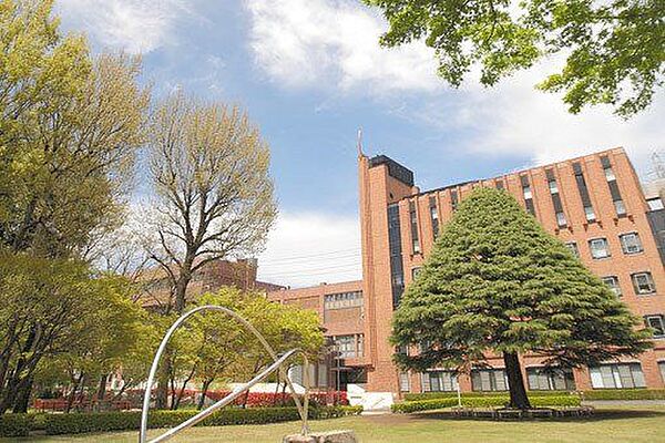 白百合女子大学図書館 1130m