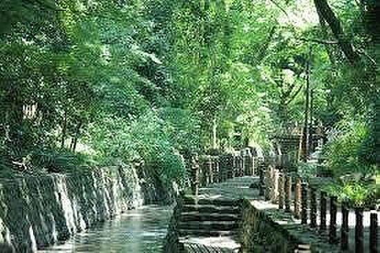 等々力渓谷公園 1050m