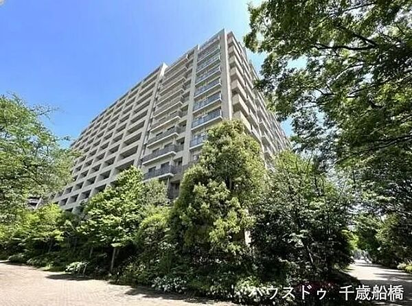 外観：313004946255