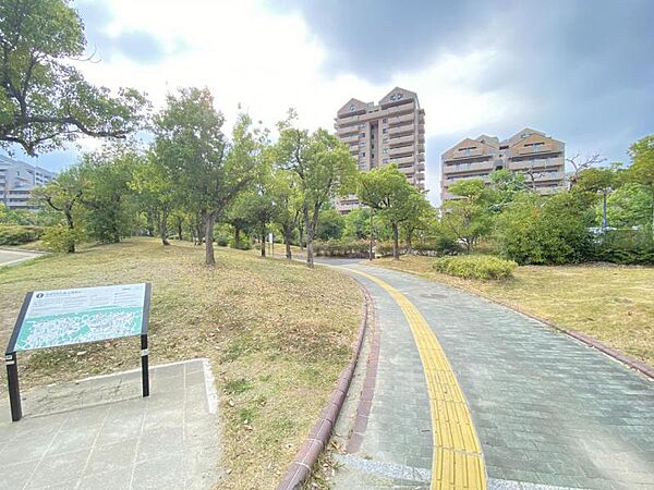 百道公園まで　301m　徒歩約4分　ブランコ、滑り台、砂場があり、キャッチボールなどのボール遊びができるスペースを有する平均的な公園です。春にはブランコ脇にある大きな桜がとても綺麗です。